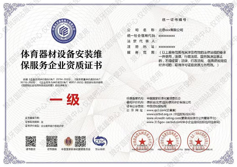 体育器材设备安装维保服务（一级）企业资质证书